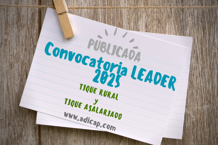 convocatorias tiques 2025 adicap